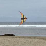 In the Breeze Groovy Stunter 48" Sport Kite 3003 View 3