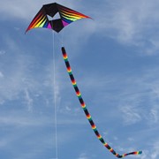 In the Breeze Rainbow Burst 6' Conyne Delta Kite 3037 View 3