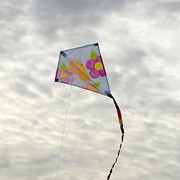 In the Breeze Diamond Coloring Kite 3074 View 3