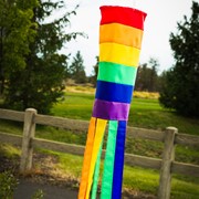 In the Breeze Rainbow Column 40" Windsock 4110 View 3