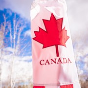 In the Breeze Canada 40" Windsock 4151 View 3