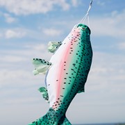 In the Breeze Rainbow Trout Spinner Tail 4259 View 3