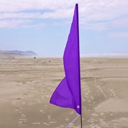 In the Breeze Purple Banner On The Go 4520 View 3