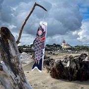 In the Breeze 36" Black Koi 4788 View 3