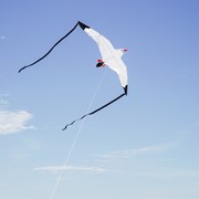 In the Breeze Seagull Kite 3140 View 3