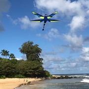 In the Breeze Harmony Dragonfly Kite 3141 View 3