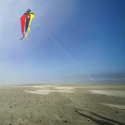 In the Breeze Rainbow Flux 52" Wave Delta Kite 3153 View 3