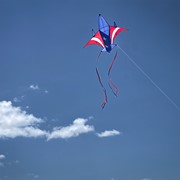 In the Breeze Patriot Jet Kite 3156 View 3