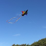 In the Breeze Rainbow Jet Kite 3157 View 3