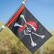 In the Breeze Jolly Roger Applique 12x18 Grommet Flag 4098 View 3