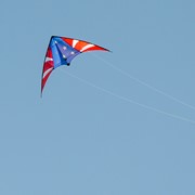 In the Breeze Stars & Stripes 48" Sport Kite 3316 View 3