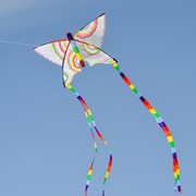 In the Breeze Butterfly 23" Coloring Kite 3190 View 3