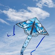In the Breeze Blue Butterfly Swarm 45" Fly-Hi Kite 3199 View 3