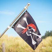 In the Breeze I'm a Jolly Roger Lustre 12x18 Grommet Flag 3683 View 3