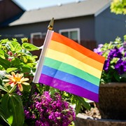 In the Breeze Printed Rainbow 4x6 Hand-Held Flag (12 PC) 3688 View 3