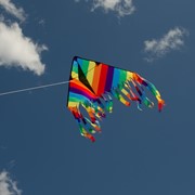 In the Breeze Rainbow Stripe 32" Flutterfly Delta Kite 24 PC POP Display 3178-D View 3