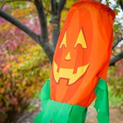 In the Breeze Jack O' Lantern 3D Windsock 4998 View 3