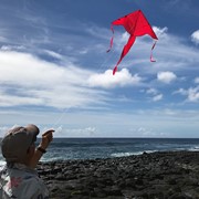 In the Breeze Red Colorfly 43" Fly-Hi Kite 3208 View 3
