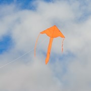 In the Breeze Orange Colorfly 43" Fly-Hi Kite 3209 View 3