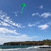 In the Breeze Green Colorfly 43" Fly-Hi Kite 3211 View 3