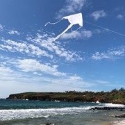 In the Breeze White Colorfly 43" Fly-Hi Kite 3214 View 3