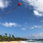 In the Breeze Parrot 30" Diamond Kite (Optimized for Shipping) 3218 View 3