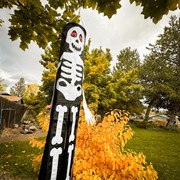 In the Breeze Lil' Bones Skeleton 3D 40" Windsock 5021 View 3