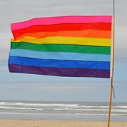 In the Breeze Historic Pride 3x5 Grommet Flag 3696 View 3