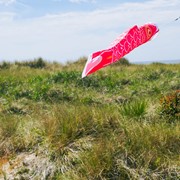 In the Breeze 24" Pink Koi 5124 View 3