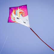 In the Breeze Unicorn 30" Diamond Kite (Optimized for Shipping) 3259 View 3