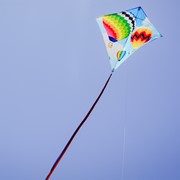 In the Breeze Hot Air Balloon 30" Diamond Kite (Optimized for Shipping) 3260 View 3