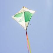 In the Breeze Dinosaur 30" Diamond Kite (Optimized for Shipping) 3275 View 3