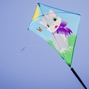 In the Breeze Kitten 30" Diamond Kite (Optimized for Shipping) 3278 View 3