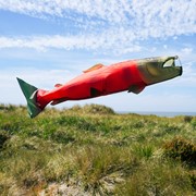 In the Breeze Sockeye Salmon 48" Fish Windsock 5118 View 3