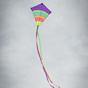 In the Breeze Neon Arch 27" Diamond Kite (Optimized for Shipping) 3304 View 3