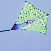 In the Breeze Peacock 30" Diamond Kite (Optimized for Shipping) 3291 View 3