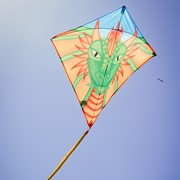 In the Breeze Dragon 30" Diamond Kite (Optimized for Shipping) 3293 View 3