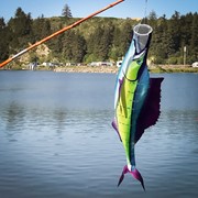 In the Breeze Sailfish 50" Fish Windsock 5159 View 3