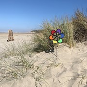 In the Breeze 10" Rainbow Windee Wheelz Spinner 2675 View 3