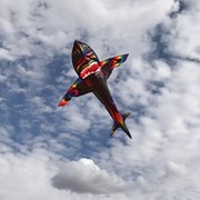In the Breeze 7.5' Aurora 3D Shark Kite 3324 View 3