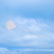 In the Breeze Coconut Colorfly 30" Diamond Kite (Optimized for Shipping) 3325 View 3