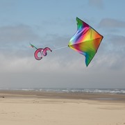 In the Breeze Jewel Delta with Spinning Tail 3327 View 3