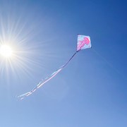 In the Breeze Jellyfish 30" Diamond Kite (Optimized for Shipping) 3332 View 3