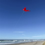 In the Breeze 5' 3D Red Shark Kite 3335 View 3