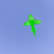 In the Breeze 5' 3D Green Shark Kite 3337 View 3