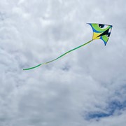 In the Breeze Manu Green 72" Delta Kite 3339 View 3