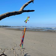 In the Breeze Dragonfly & Ribbon Windsock 5193 View 3