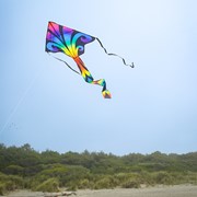 In the Breeze Aurora 46" Fly-Hi Kite 3345 View 3