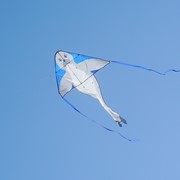 In the Breeze Seal 46" Fly-Hi Kite 3347 View 3