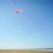 In the Breeze 22" Rainbow Stripe Dancing Dragon Kite 3350 View 3